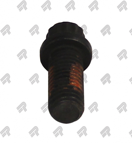 PTI N800594-S100 Bolt Kit (Qty. 4)